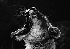 Joe D by Unsplash Joe D by Unsplash