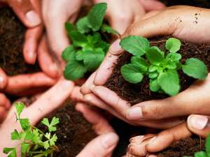 Sustainable Development: Goals, Importance, and Practical Guidance