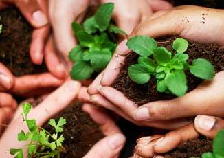 Sustainable Development: Goals, Importance, and Practical Guidance