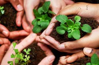 Sustainable Development: Goals, Importance, and Practical Guidance