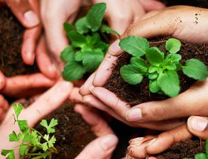 Sustainable Development: Goals, Importance, and Practical Guidance