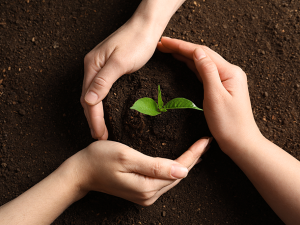 Sustainability and Climate Trends To Watch for 2024