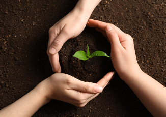 Sustainability and Climate Trends To Watch for 2024